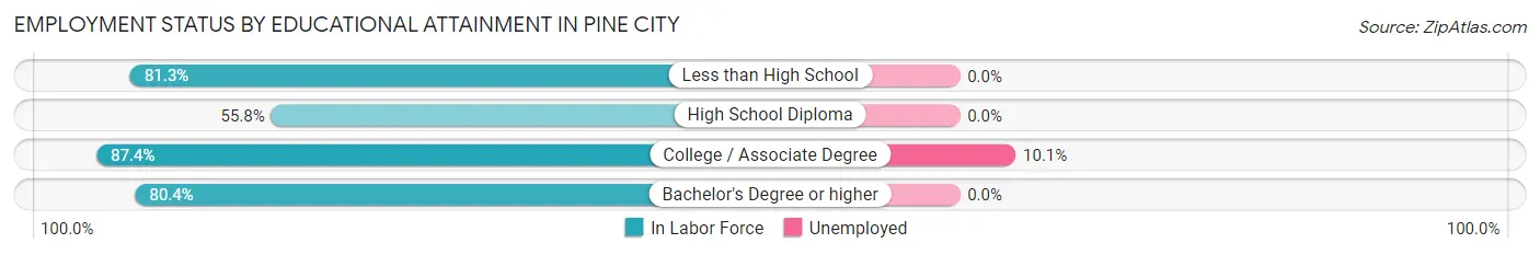 Employment Status by Educational Attainment in Pine City