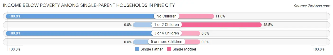 Income Below Poverty Among Single-Parent Households in Pine City