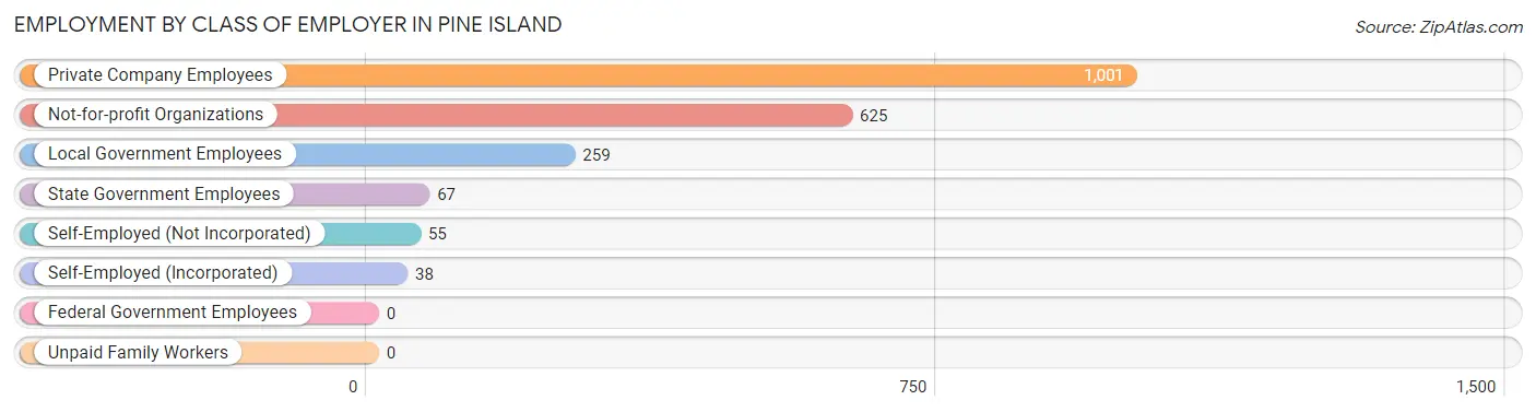 Employment by Class of Employer in Pine Island