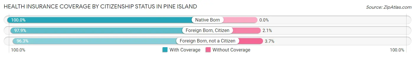 Health Insurance Coverage by Citizenship Status in Pine Island