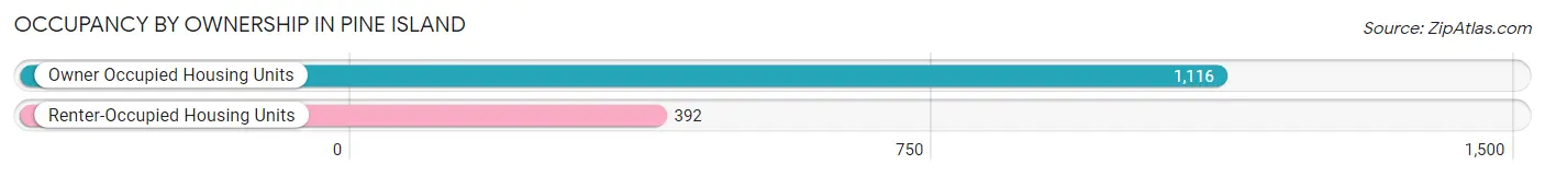 Occupancy by Ownership in Pine Island
