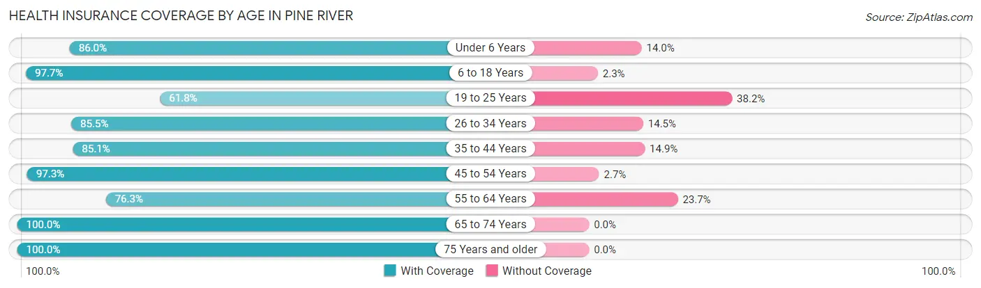 Health Insurance Coverage by Age in Pine River
