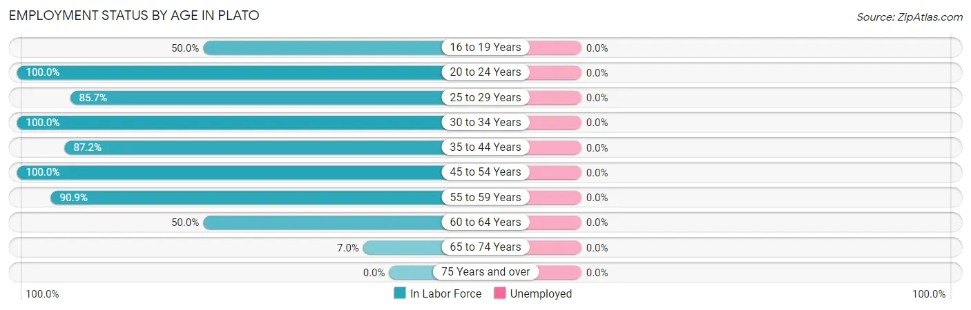 Employment Status by Age in Plato