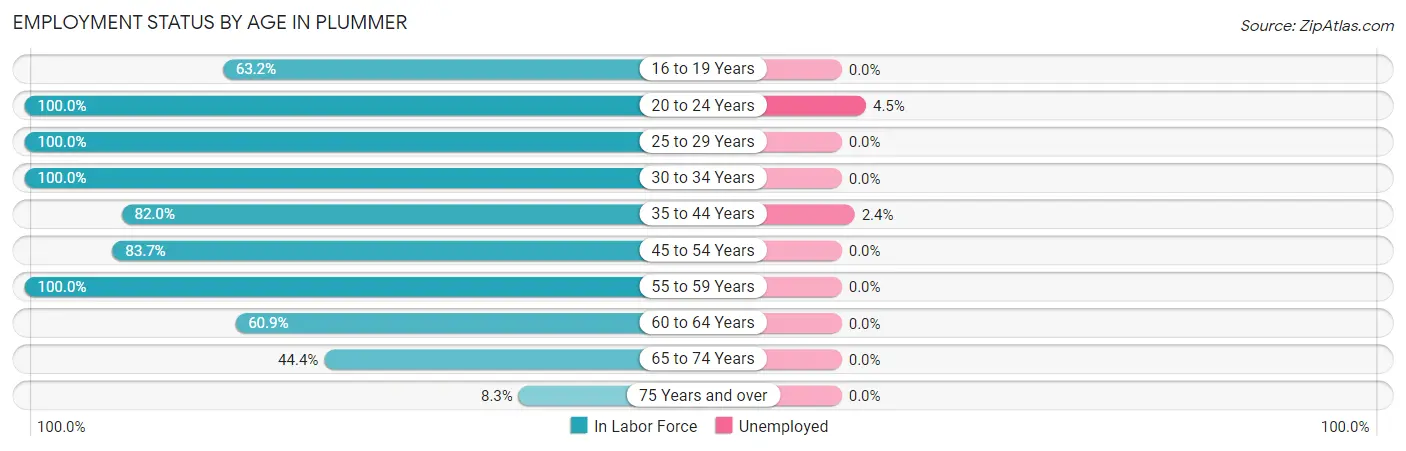 Employment Status by Age in Plummer