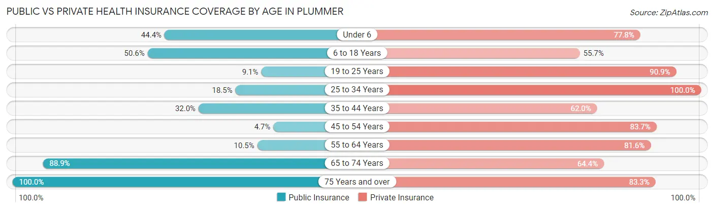 Public vs Private Health Insurance Coverage by Age in Plummer