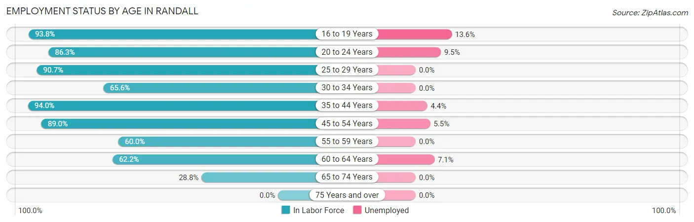 Employment Status by Age in Randall