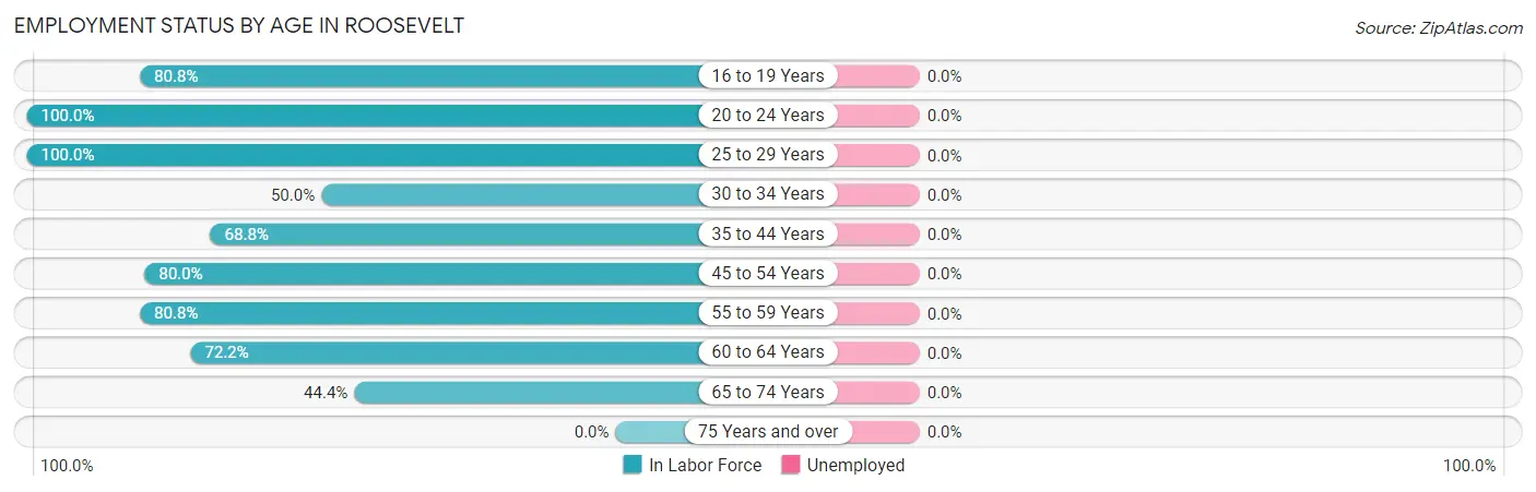 Employment Status by Age in Roosevelt