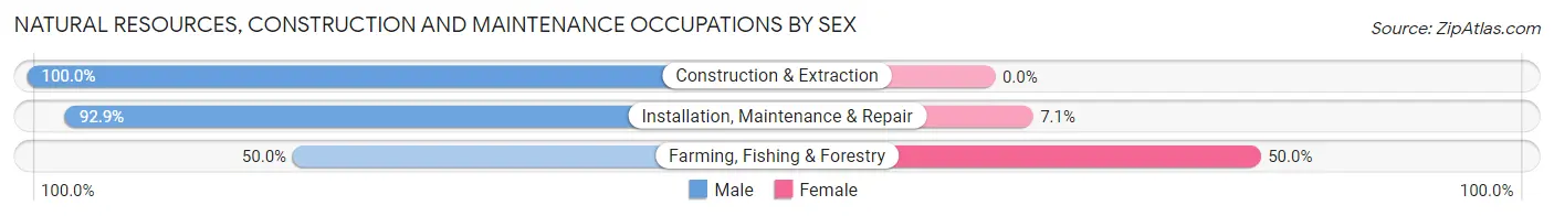 Natural Resources, Construction and Maintenance Occupations by Sex in Roosevelt