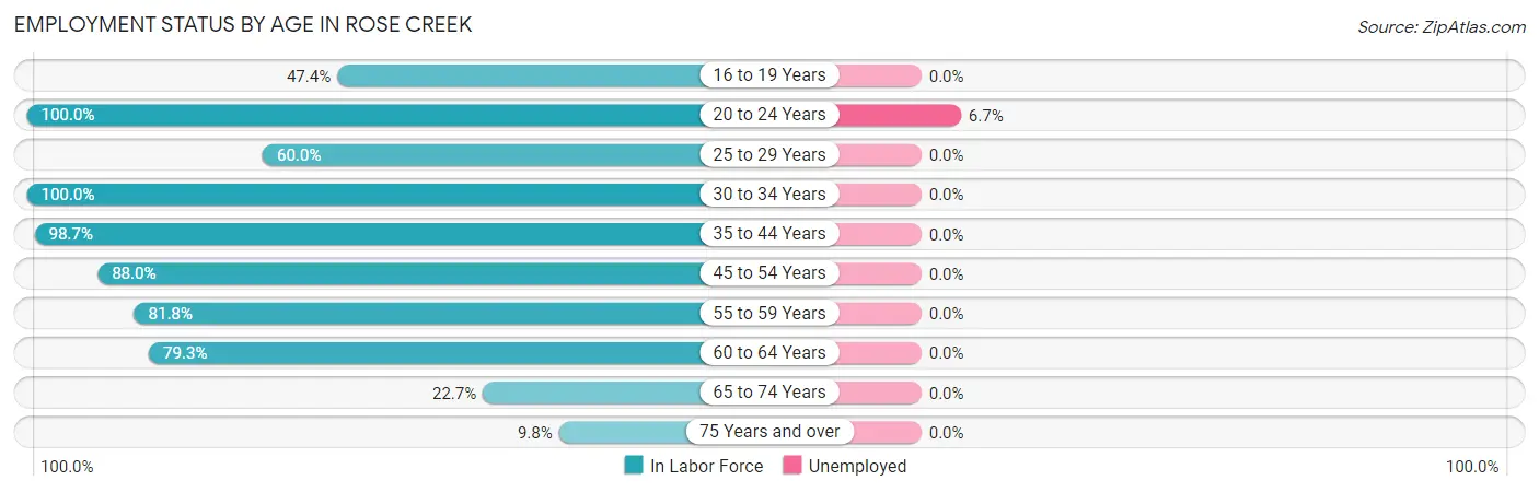 Employment Status by Age in Rose Creek