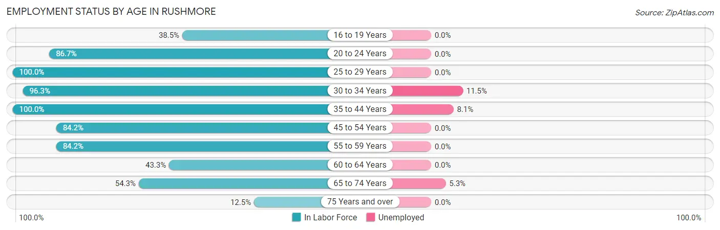Employment Status by Age in Rushmore