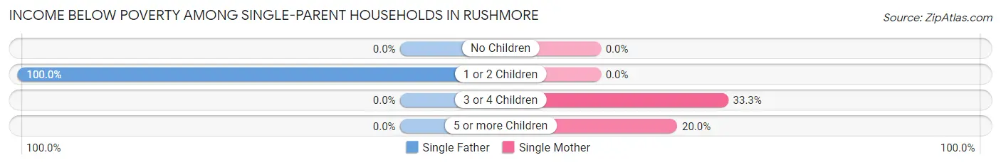 Income Below Poverty Among Single-Parent Households in Rushmore