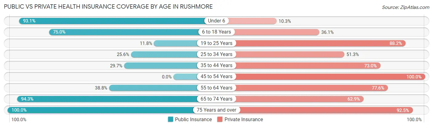 Public vs Private Health Insurance Coverage by Age in Rushmore
