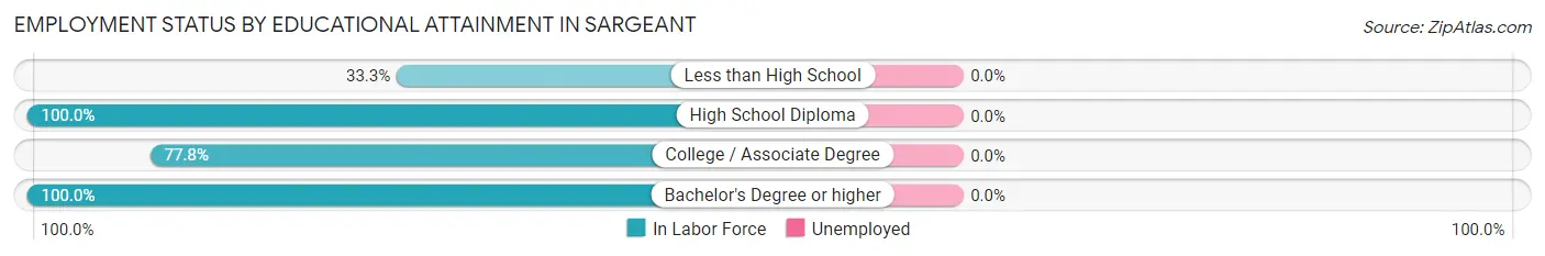Employment Status by Educational Attainment in Sargeant