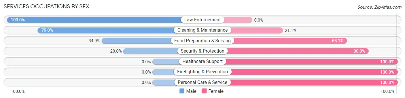 Services Occupations by Sex in Sauk Centre