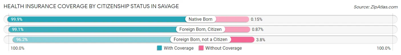 Health Insurance Coverage by Citizenship Status in Savage