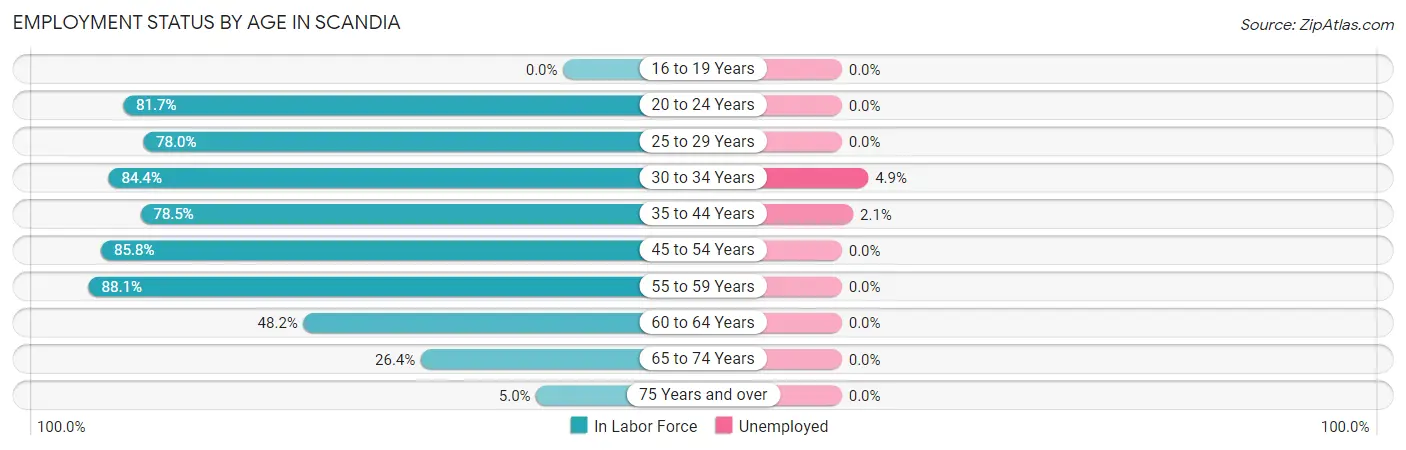 Employment Status by Age in Scandia