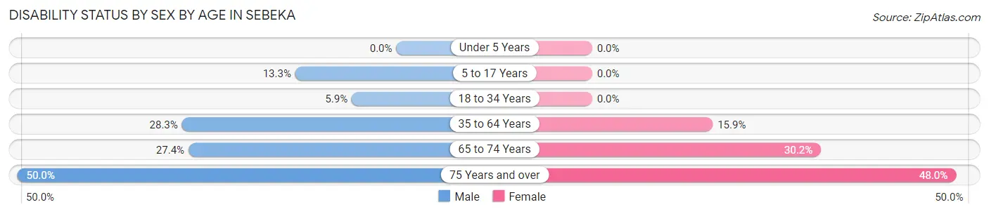 Disability Status by Sex by Age in Sebeka