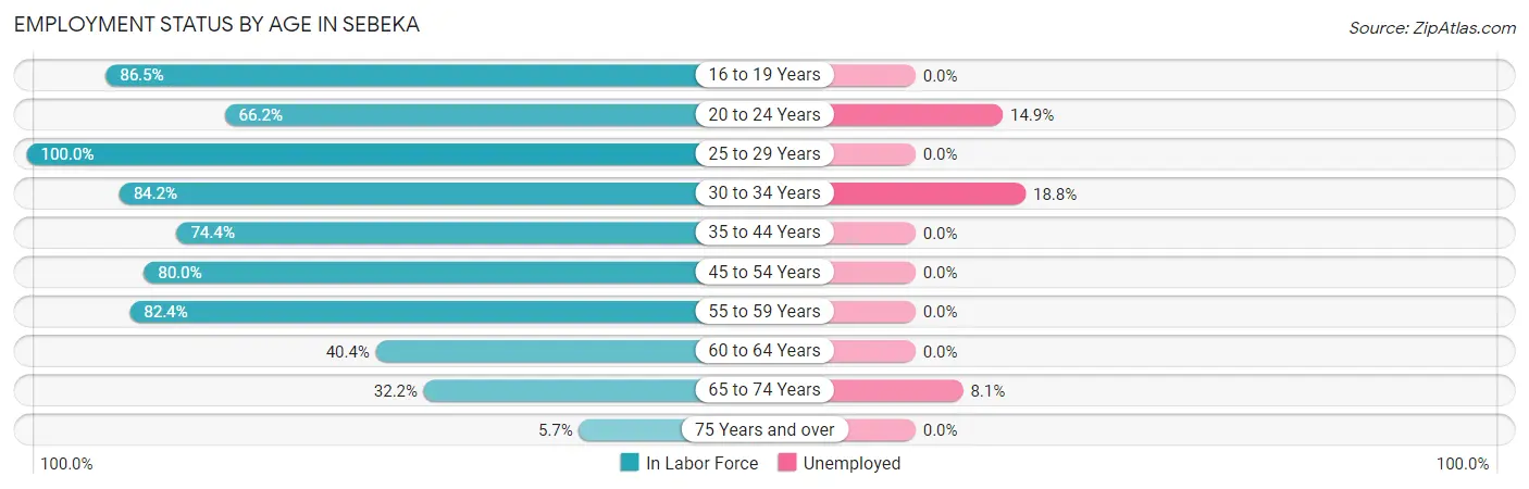 Employment Status by Age in Sebeka