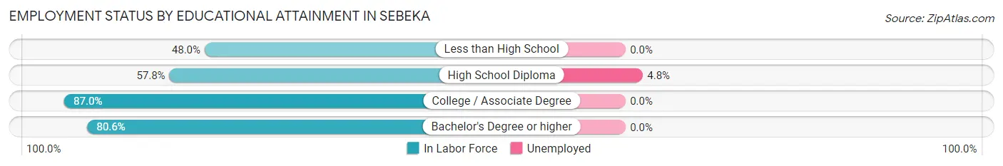 Employment Status by Educational Attainment in Sebeka