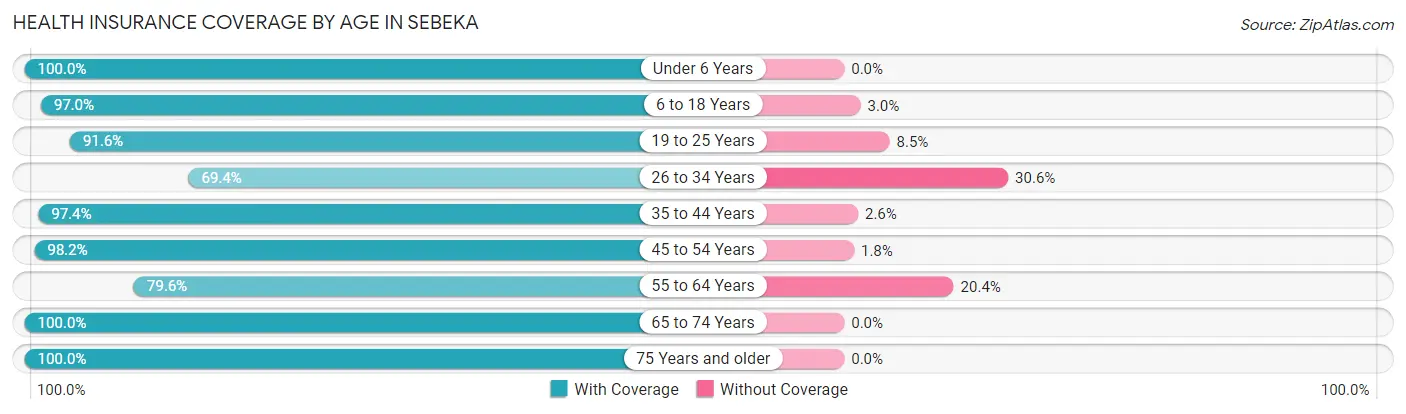 Health Insurance Coverage by Age in Sebeka