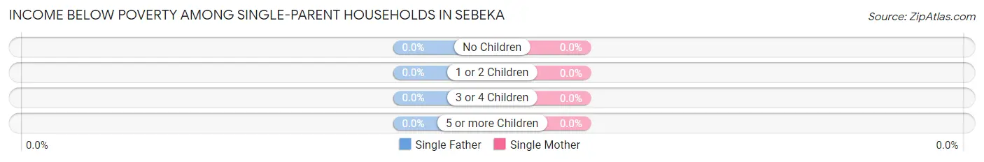 Income Below Poverty Among Single-Parent Households in Sebeka