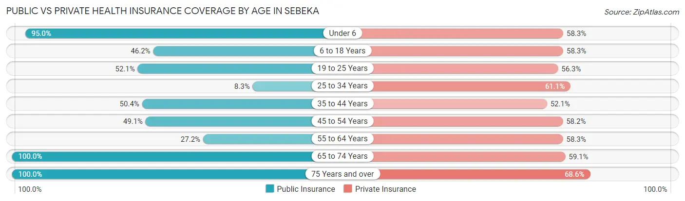Public vs Private Health Insurance Coverage by Age in Sebeka