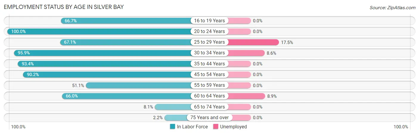 Employment Status by Age in Silver Bay