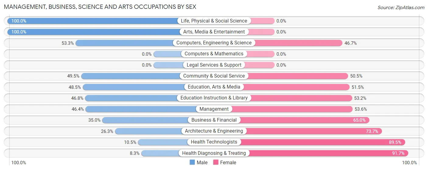 Management, Business, Science and Arts Occupations by Sex in Slayton