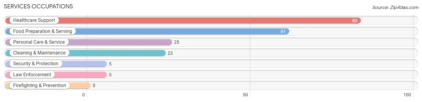 Services Occupations in Slayton