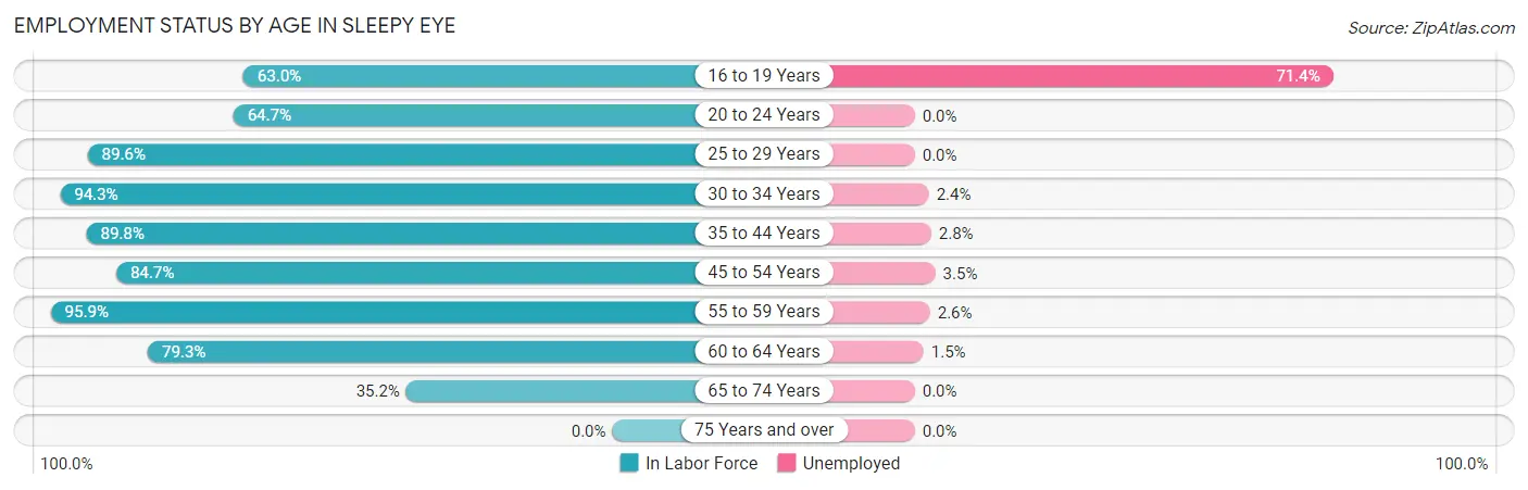 Employment Status by Age in Sleepy Eye