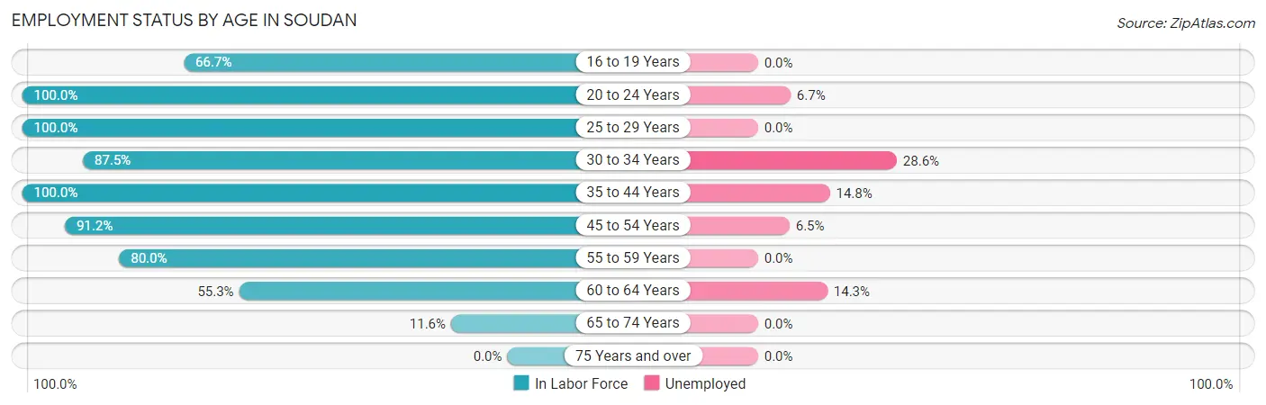 Employment Status by Age in Soudan
