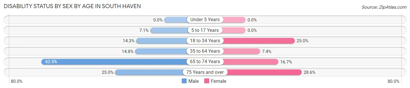 Disability Status by Sex by Age in South Haven