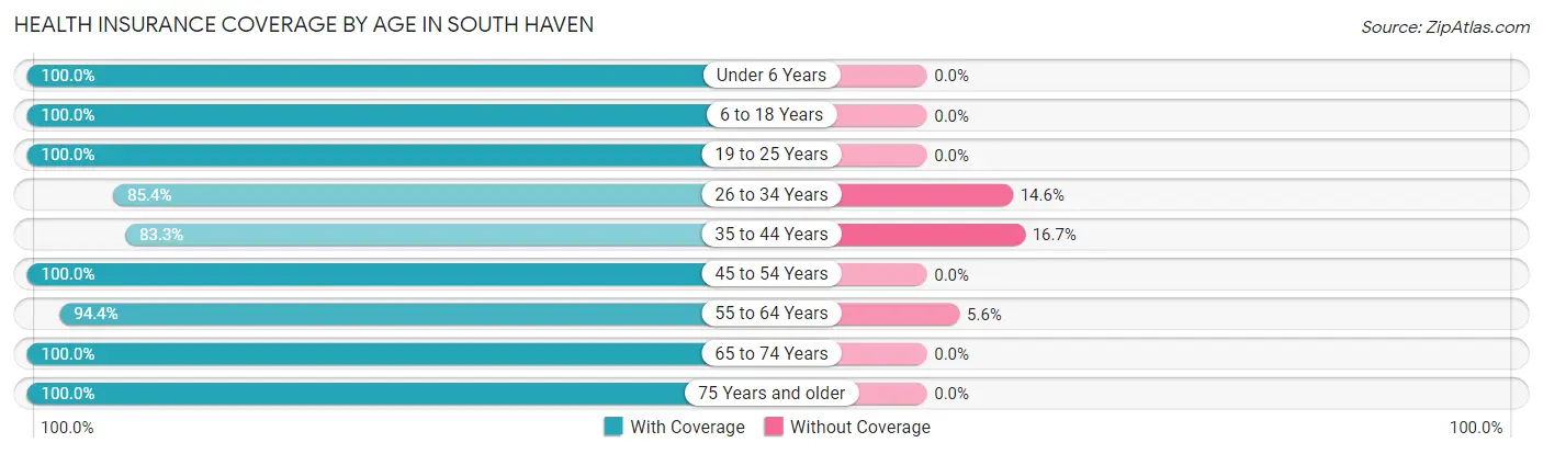 Health Insurance Coverage by Age in South Haven