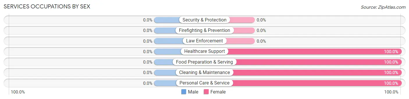 Services Occupations by Sex in South Haven