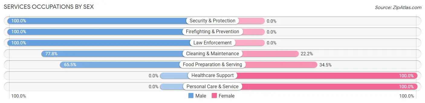 Services Occupations by Sex in Spicer