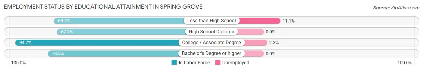 Employment Status by Educational Attainment in Spring Grove