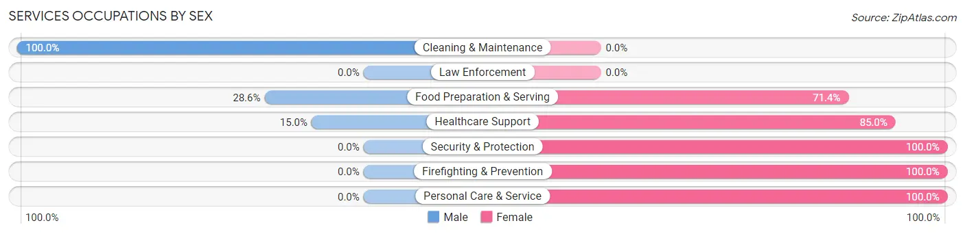 Services Occupations by Sex in Spring Grove