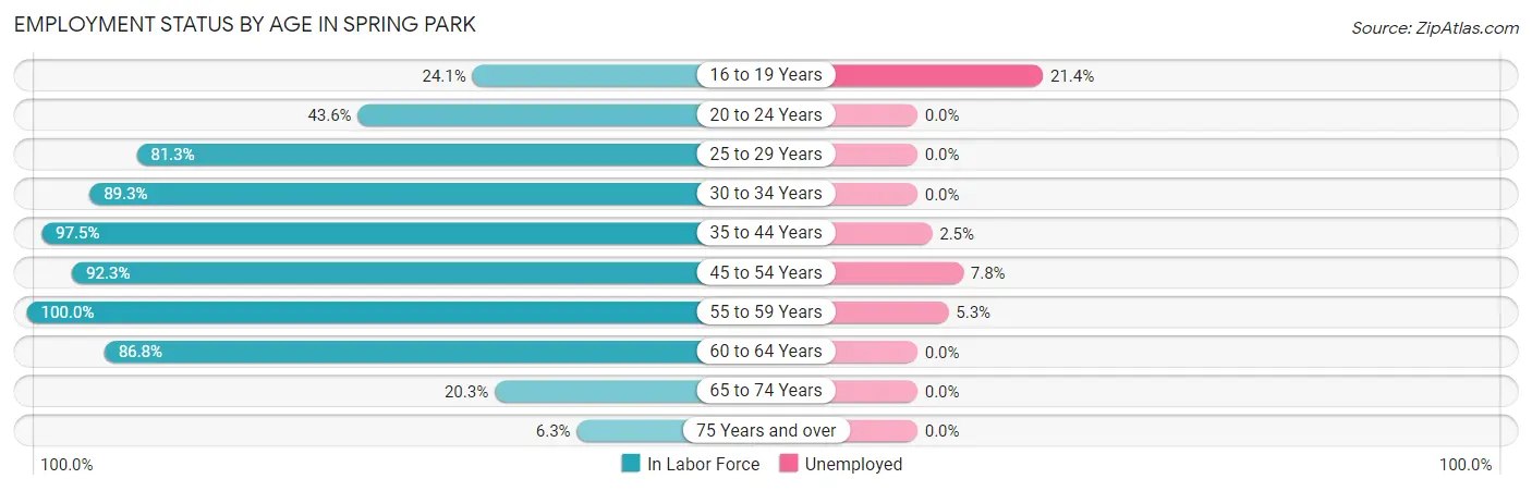 Employment Status by Age in Spring Park