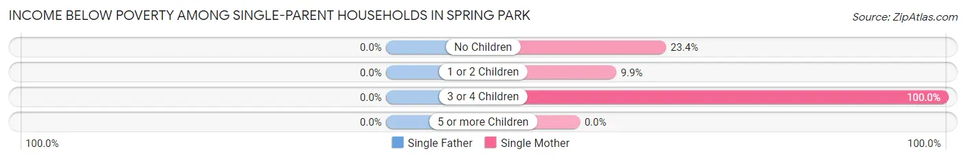 Income Below Poverty Among Single-Parent Households in Spring Park