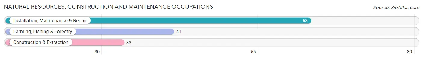 Natural Resources, Construction and Maintenance Occupations in Springfield