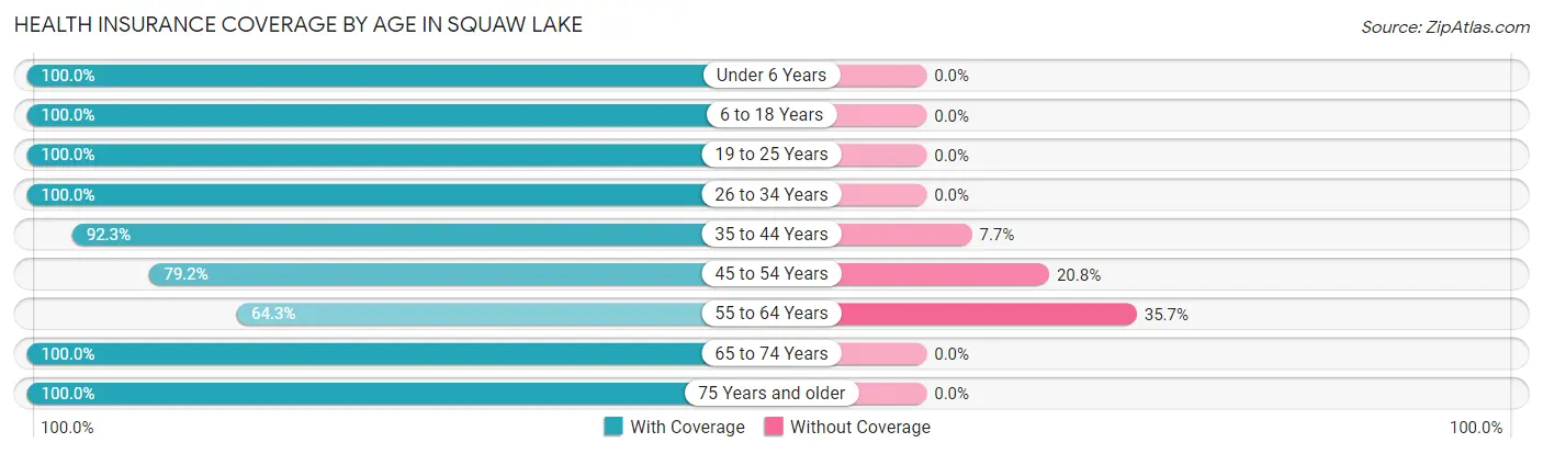 Health Insurance Coverage by Age in Squaw Lake