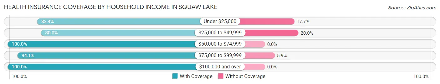 Health Insurance Coverage by Household Income in Squaw Lake