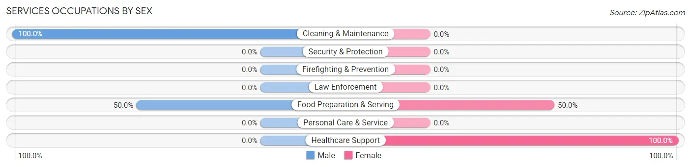Services Occupations by Sex in St Leo