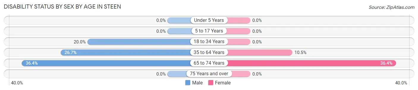 Disability Status by Sex by Age in Steen