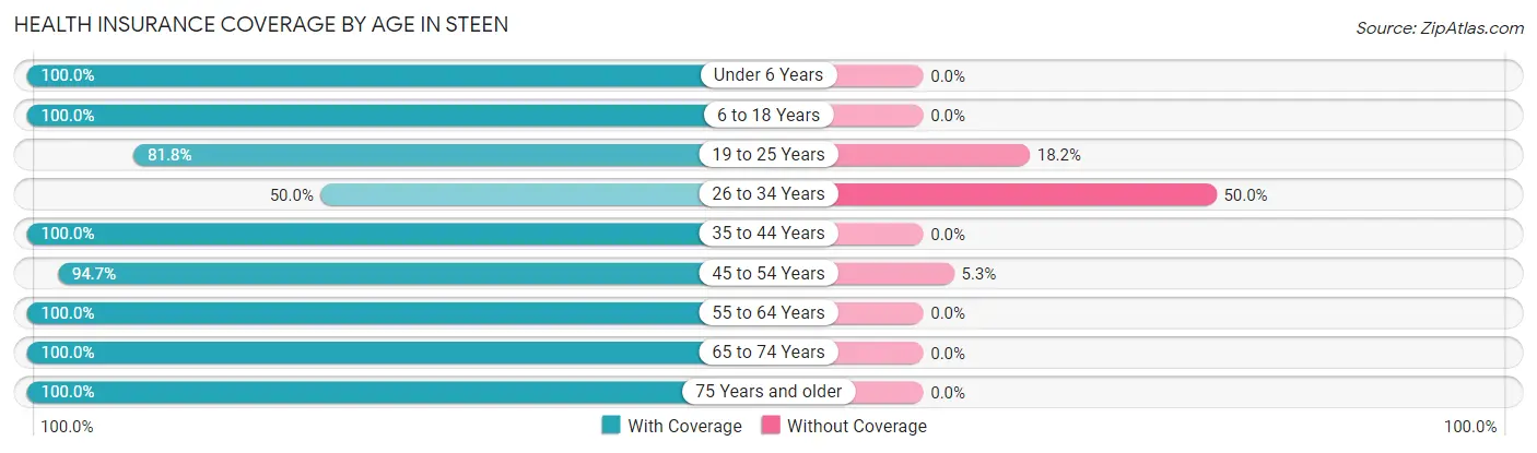 Health Insurance Coverage by Age in Steen