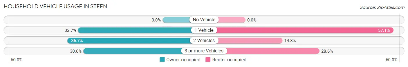 Household Vehicle Usage in Steen