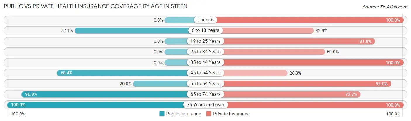 Public vs Private Health Insurance Coverage by Age in Steen