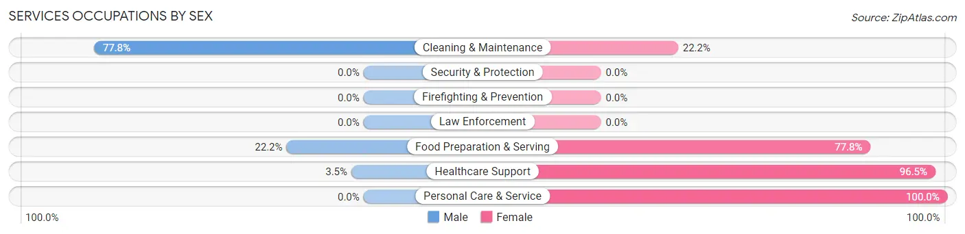 Services Occupations by Sex in Stewart
