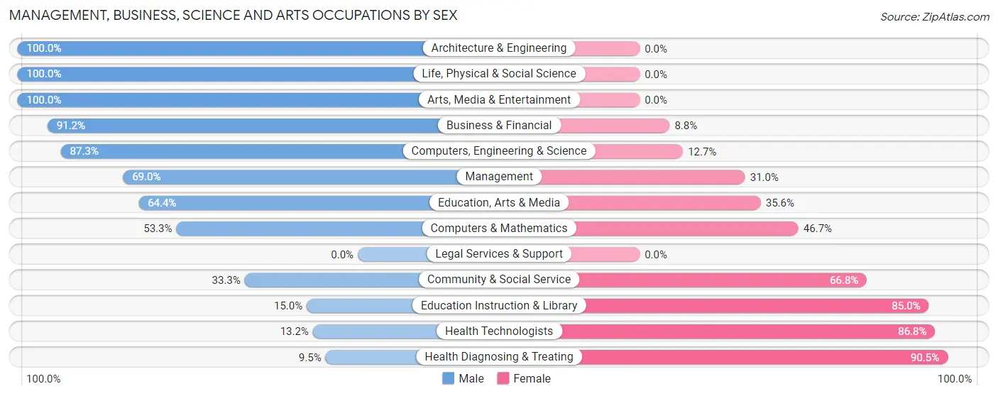 Management, Business, Science and Arts Occupations by Sex in Stewartville
