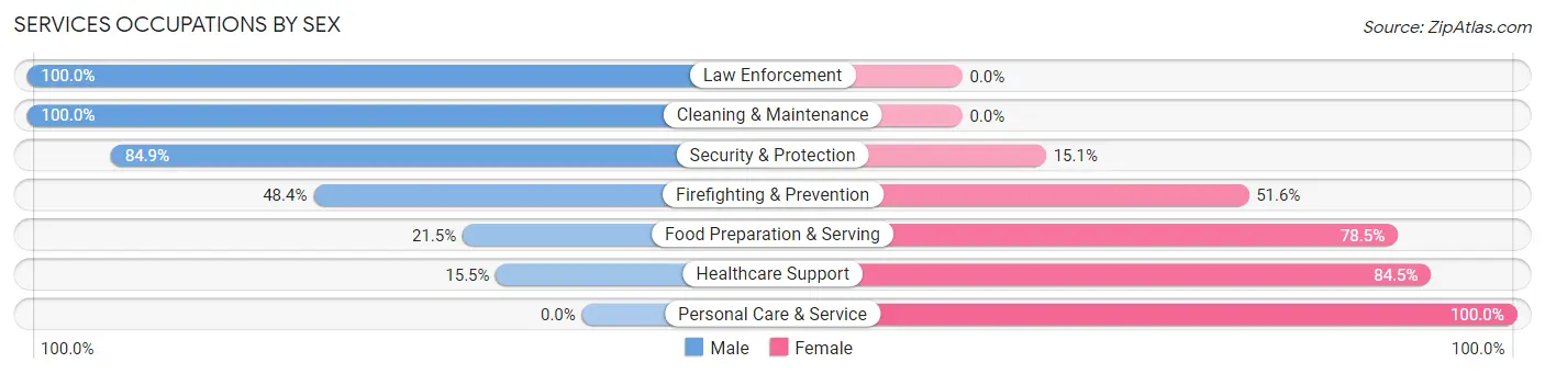 Services Occupations by Sex in Stewartville